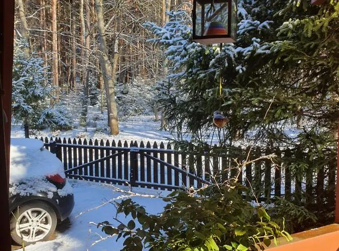 Dom Nad Jeziorem * Studzienice